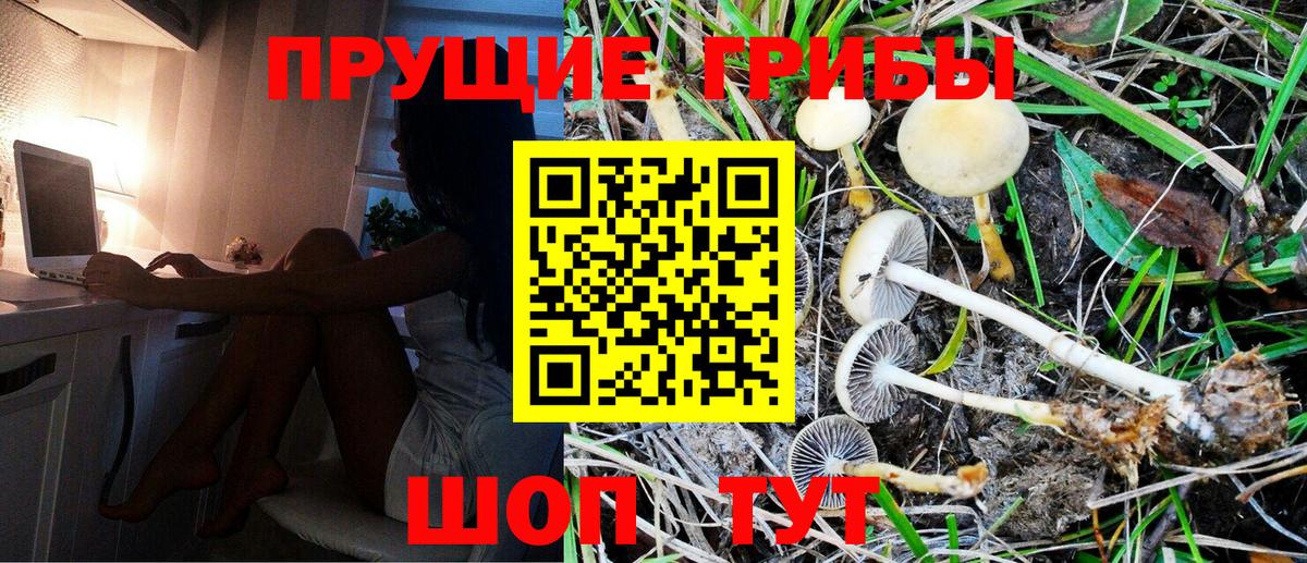 Псилоцибиновые грибы Psilocybe  Вход с VPN  Южно-Сахалинск  Галлюциногенные грибы ЛСД 